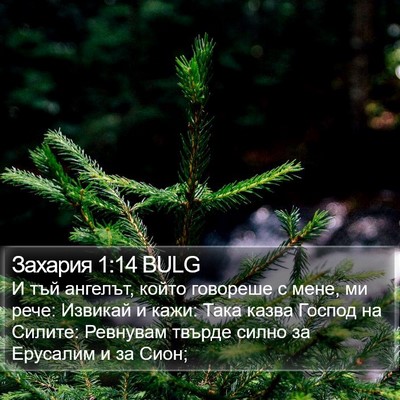 Захария 1:14 BULG Bible Verse Image