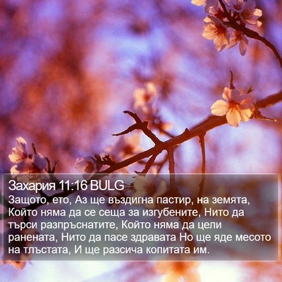 Захария 11:16 BULG Bible Verse Image