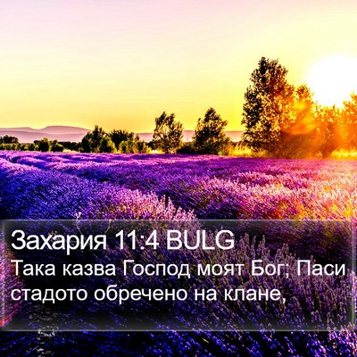 Захария 11:4 BULG Bible Verse Image