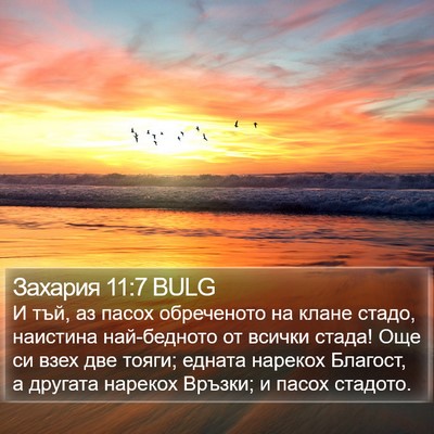 Захария 11:7 BULG Bible Verse Image