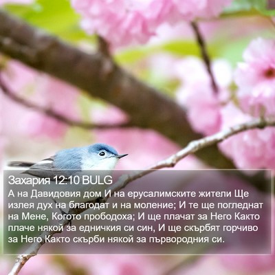 Захария 12:10 BULG Bible Verse Image
