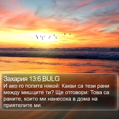 Захария 13:6 BULG Bible Verse Image