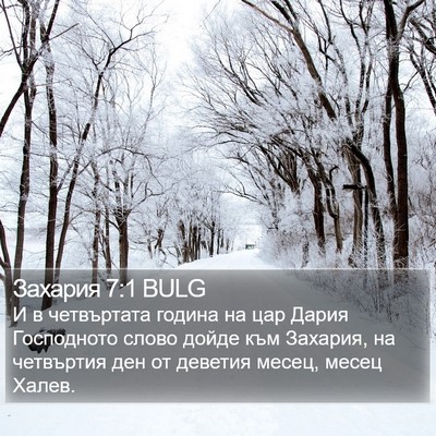 Захария 7:1 BULG Bible Verse Image