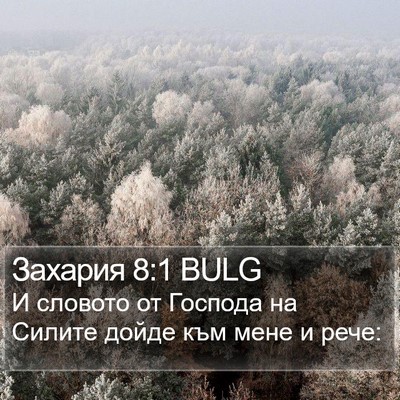 Захария 8:1 BULG Bible Verse Image