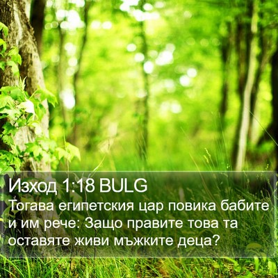 Изход 1:18 BULG Bible Verse Image