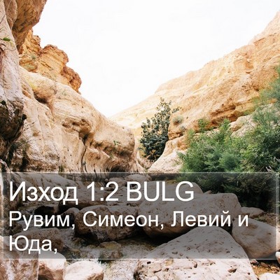 Изход 1:2 BULG Bible Verse Image