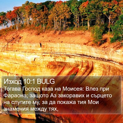 Изход 10:1 BULG Bible Verse Image