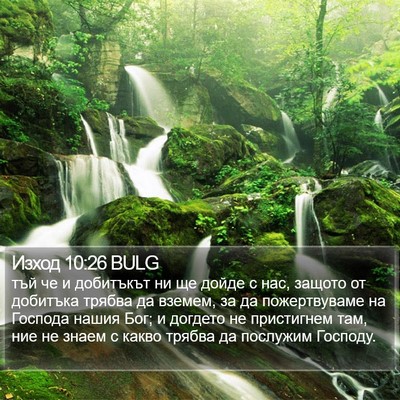 Изход 10:26 BULG Bible Verse Image
