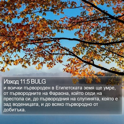 Изход 11:5 BULG Bible Verse Image