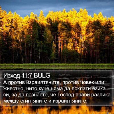 Изход 11:7 BULG Bible Verse Image