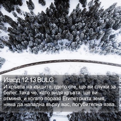 Изход 12:13 BULG Bible Verse Image