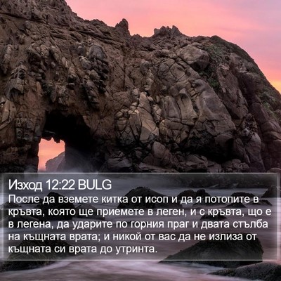 Изход 12:22 BULG Bible Verse Image