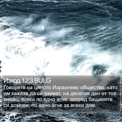 Изход 12:3 BULG Bible Verse Image