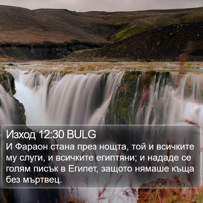 Изход 12:30 BULG Bible Verse Image