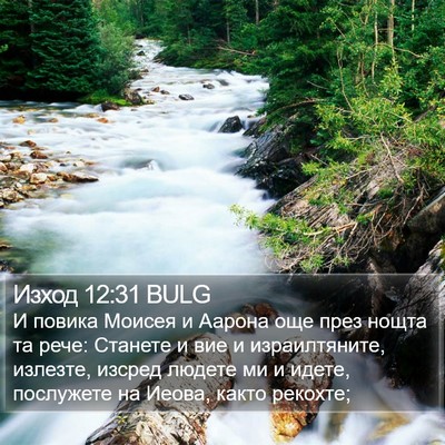 Изход 12:31 BULG Bible Verse Image