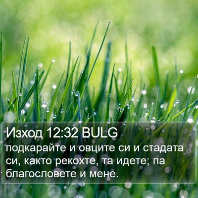 Изход 12:32 BULG Bible Verse Image