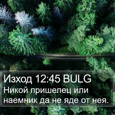 Изход 12:45 BULG Bible Verse Image