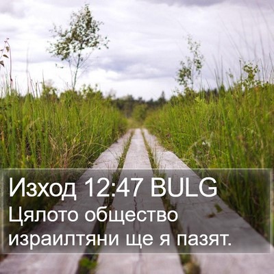 Изход 12:47 BULG Bible Verse Image