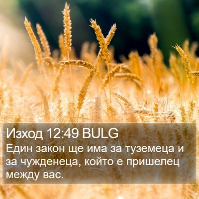 Изход 12:49 BULG Bible Verse Image