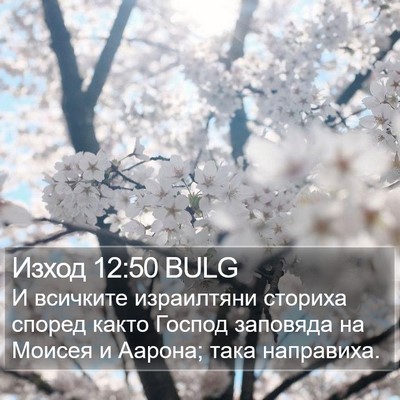 Изход 12:50 BULG Bible Verse Image