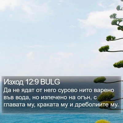 Изход 12:9 BULG Bible Verse Image