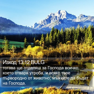 Изход 13:12 BULG Bible Verse Image