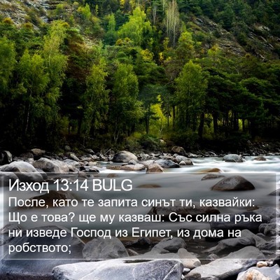 Изход 13:14 BULG Bible Verse Image