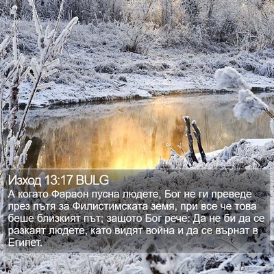 Изход 13:17 BULG Bible Verse Image