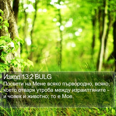Изход 13:2 BULG Bible Verse Image