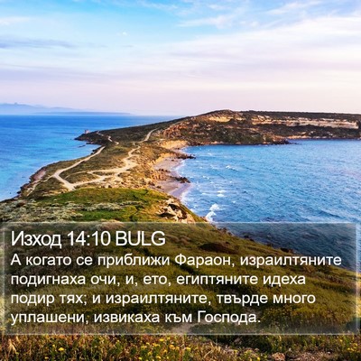Изход 14:10 BULG Bible Verse Image