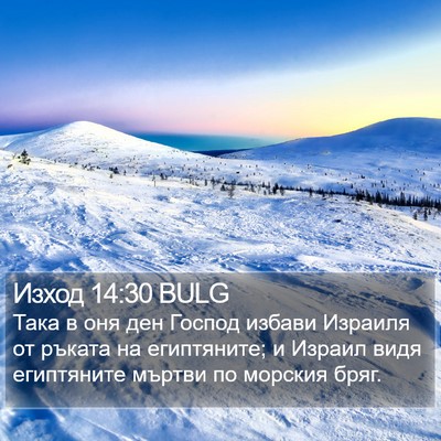Изход 14:30 BULG Bible Verse Image