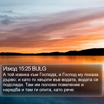 Изход 15:25 BULG Bible Verse Image