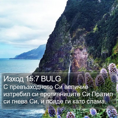 Изход 15:7 BULG Bible Verse Image