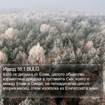 Изход 16:1 BULG Bible Verse Image