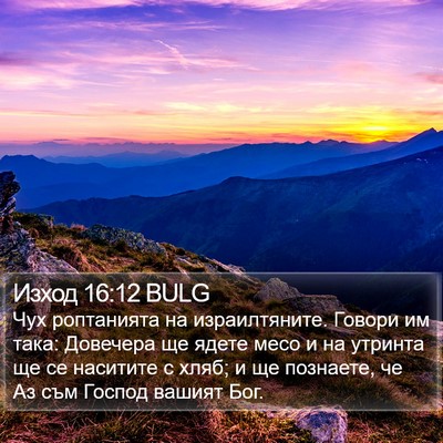 Изход 16:12 BULG Bible Verse Image