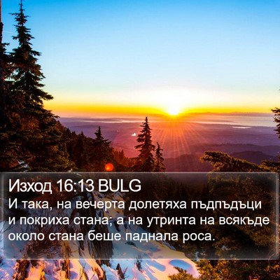 Изход 16:13 BULG Bible Verse Image