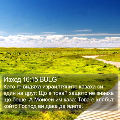 Изход 16:15 BULG Bible Verse Image