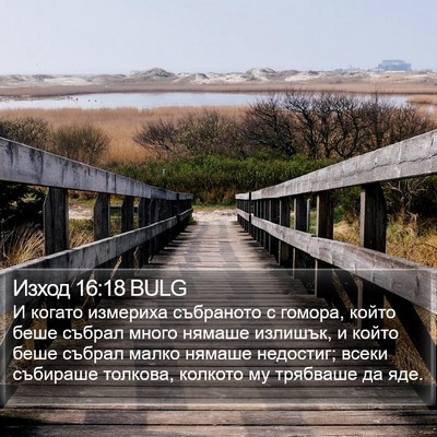 Изход 16:18 BULG Bible Verse Image