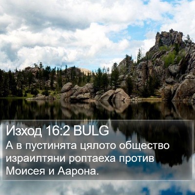 Изход 16:2 BULG Bible Verse Image