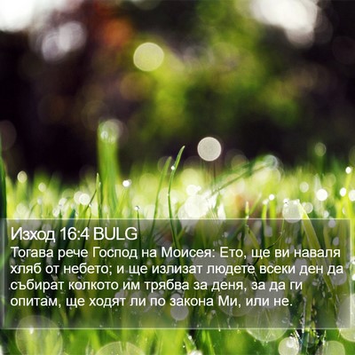 Изход 16:4 BULG Bible Verse Image
