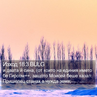 Изход 18:3 BULG Bible Verse Image