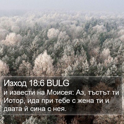 Изход 18:6 BULG Bible Verse Image