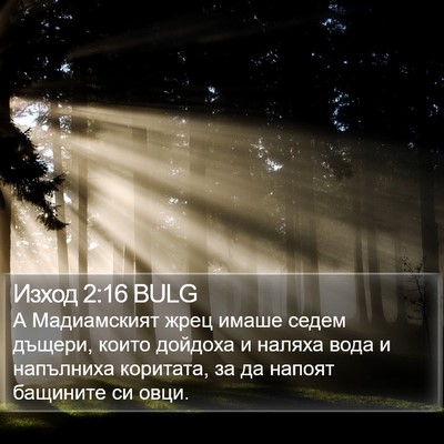 Изход 2:16 BULG Bible Verse Image
