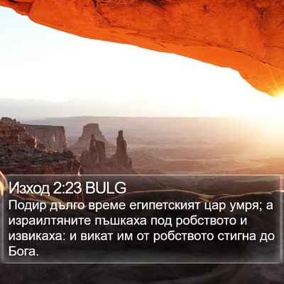 Изход 2:23 BULG Bible Verse Image