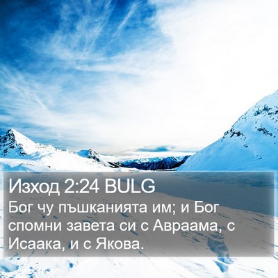 Изход 2:24 BULG Bible Verse Image