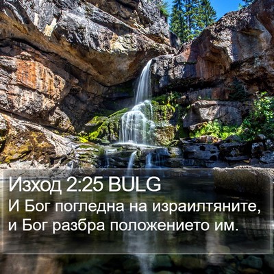Изход 2:25 BULG Bible Verse Image