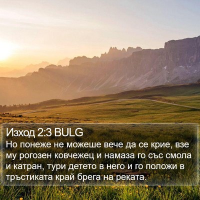 Изход 2:3 BULG Bible Verse Image