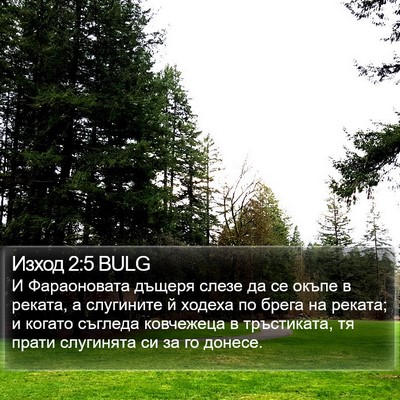 Изход 2:5 BULG Bible Verse Image