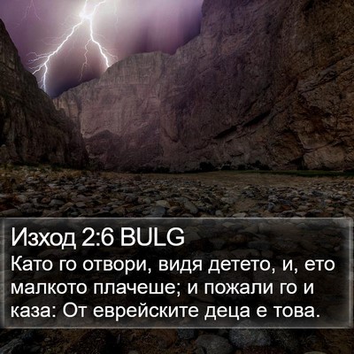 Изход 2:6 BULG Bible Verse Image