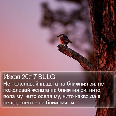 Изход 20:17 BULG Bible Verse Image